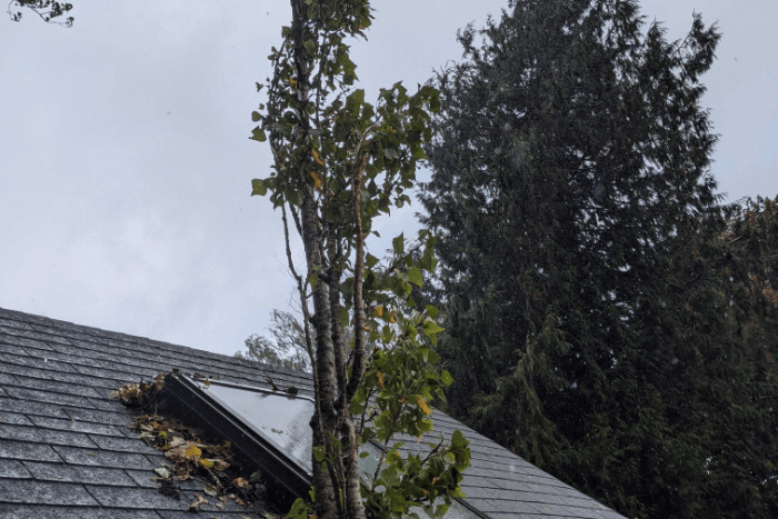 Residential Roofing Repair | RR Roof Rider Ltd